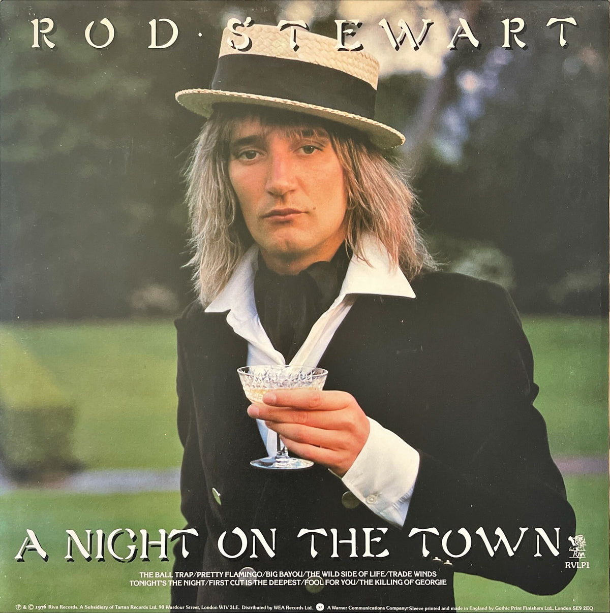 Rod Stewart - A Night On The Town (Vinyl LP) — Record Exchange