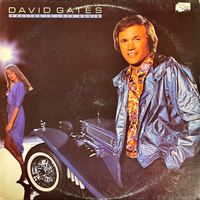 David Gates - Falling In Love Again (Vinyl LP)