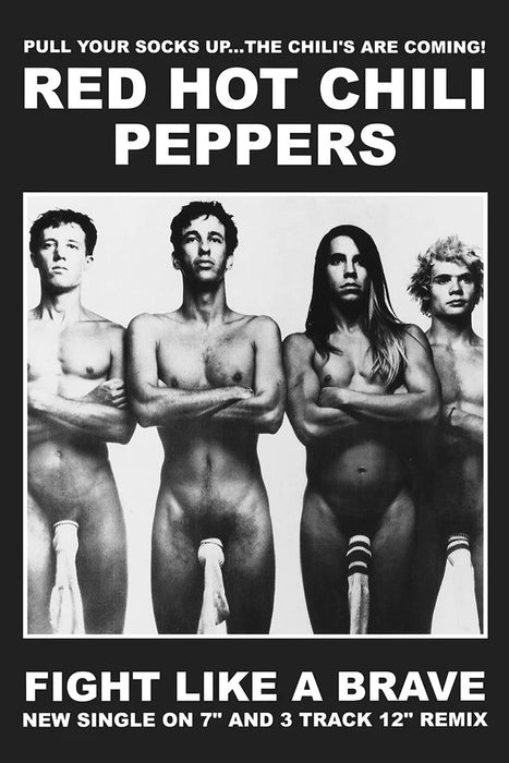 Red Hot Chili Peppers - Fight Like A Brave (Poster)