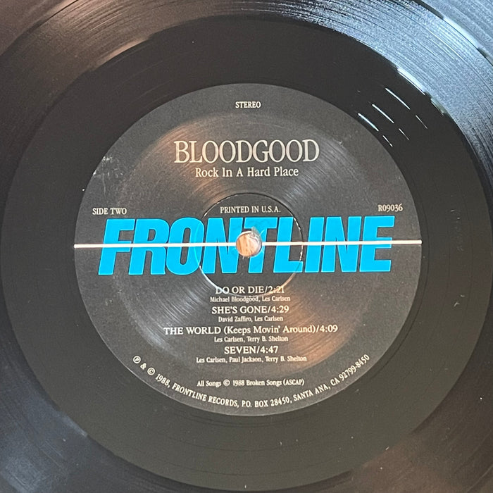 Bloodgood - Rock In A Hard Place (Vinyl LP)